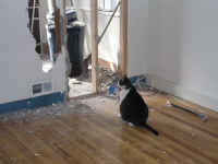 P3160119.JPG (504996 bytes)