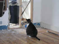 P3160121.JPG (492186 bytes)