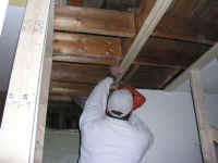 P3180135.JPG (840701 bytes)